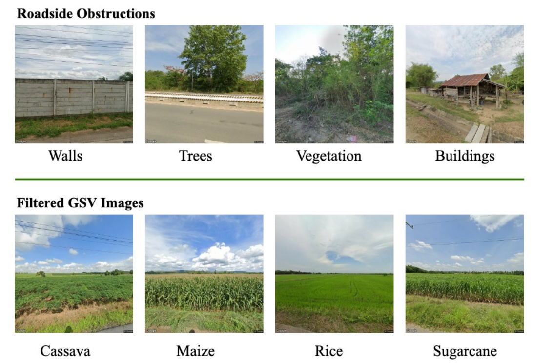 MIT researchers remotely map food crops, using machine learning and satellites