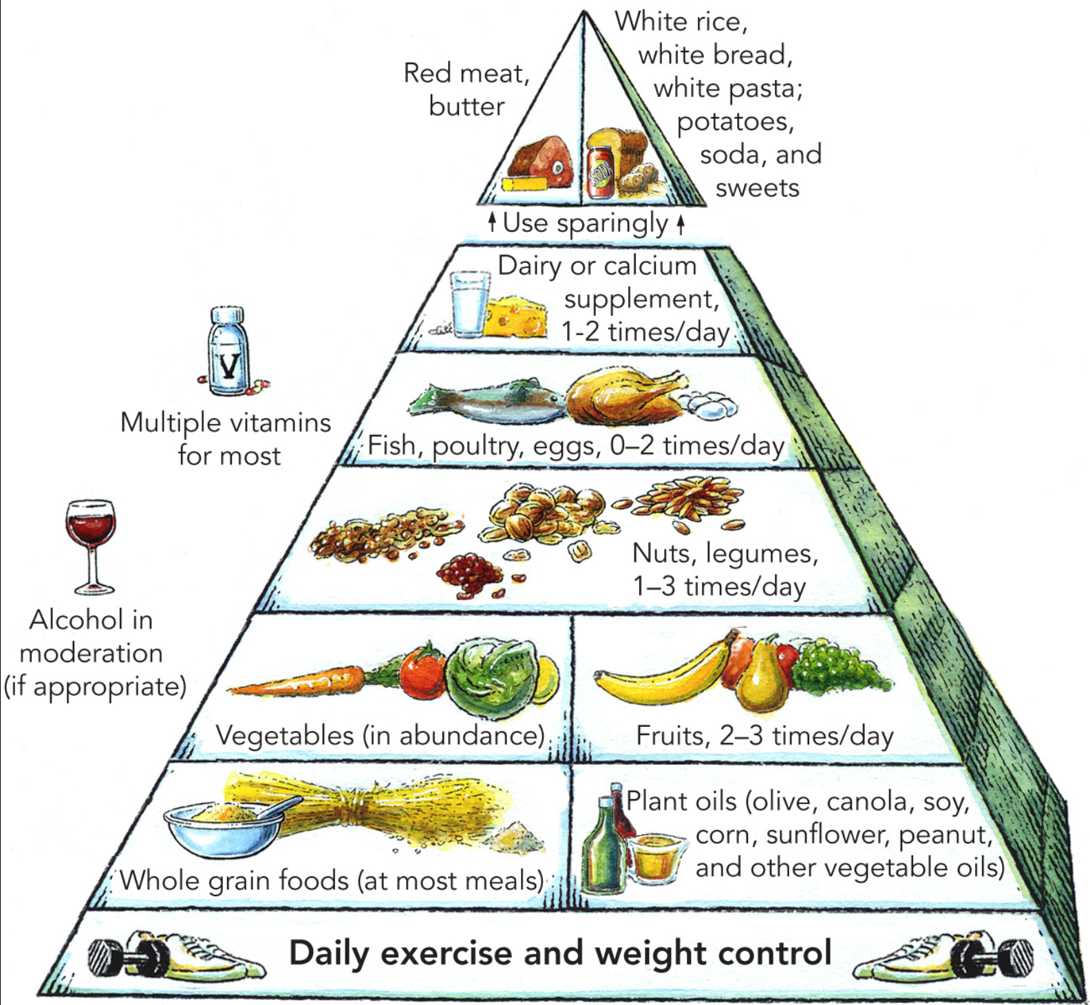 Study links key nutrients with slower brain aging