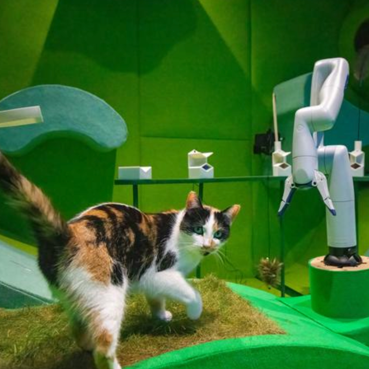 Would you trust a robot to look after your cat?