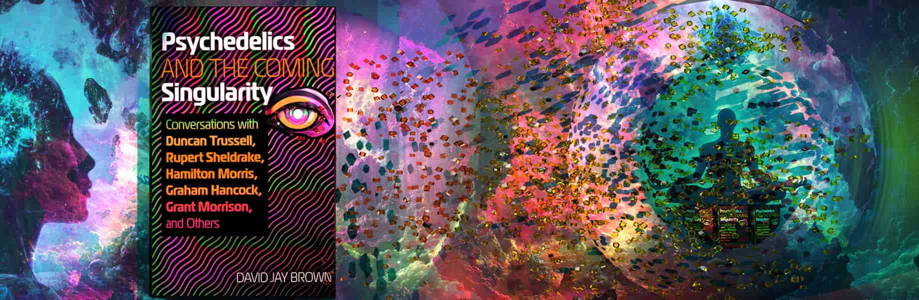 Psychedelics and the Coming Singularity: A Conversation with David Jay Brown about his book