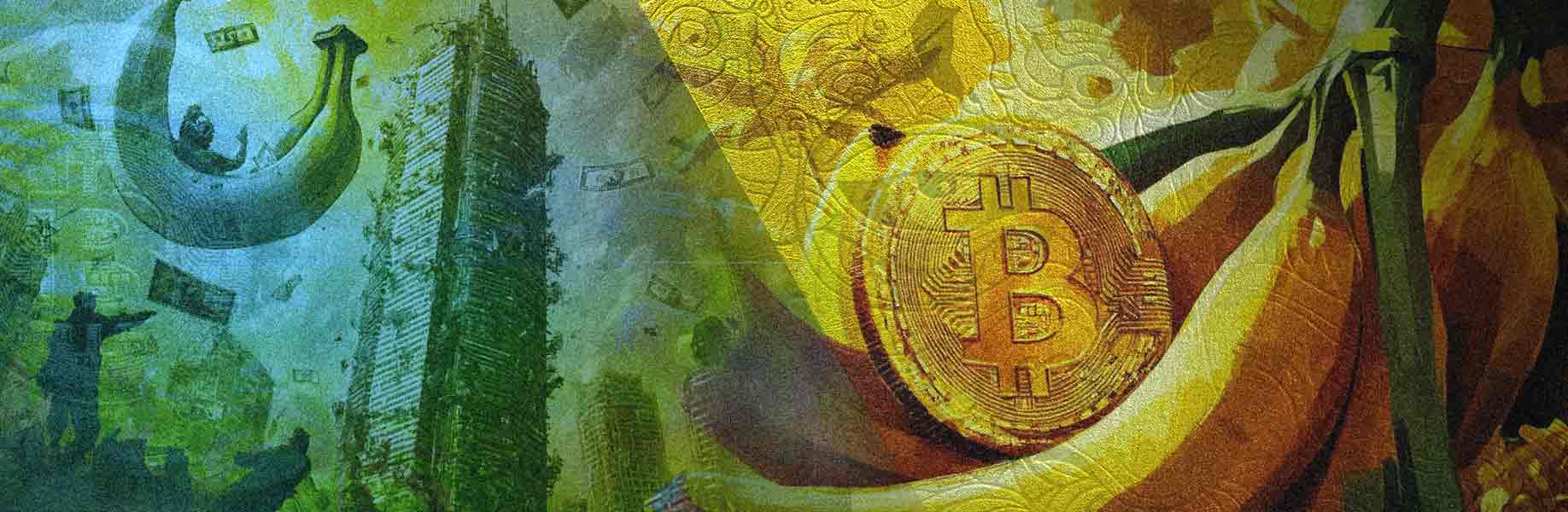 The Bitcoin Banana Zone 2025: How To Not Slip Up In Its Madness