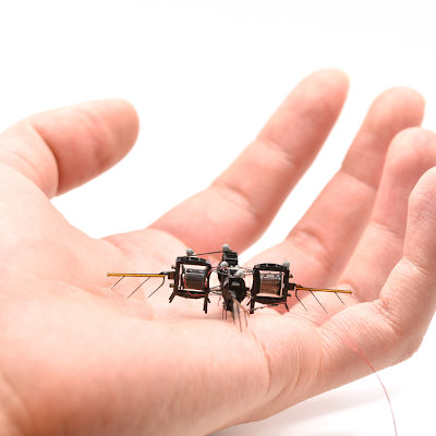 MIT's robotic insects (Credit: MIT).