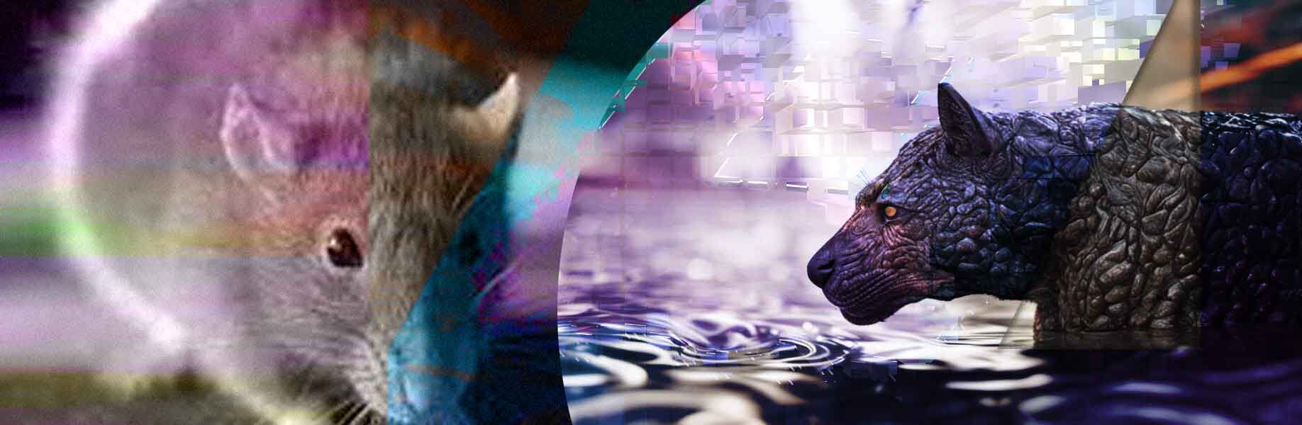 Exploring animal consciousness with a new method