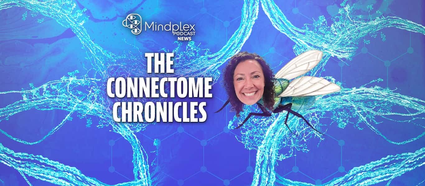 How Connectomes Are Giving Us Visionary Insights