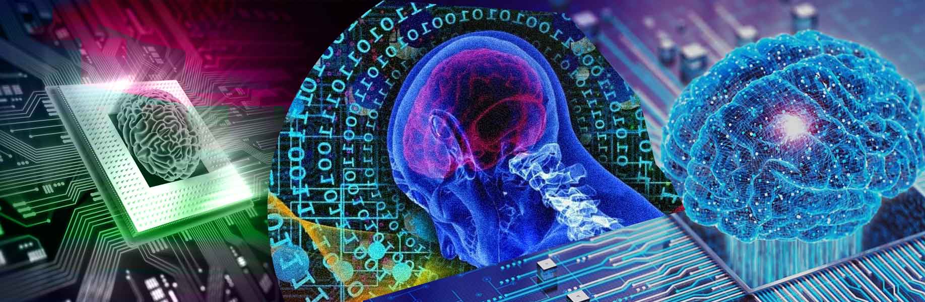 A new kind of computer powered by human brain cells
