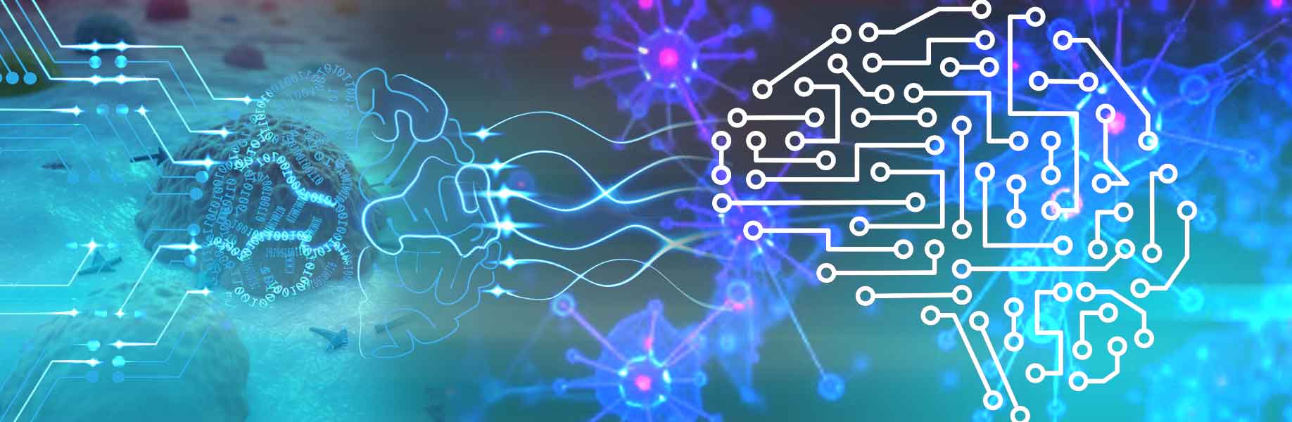 AI tool maps cell networks for better treatments
