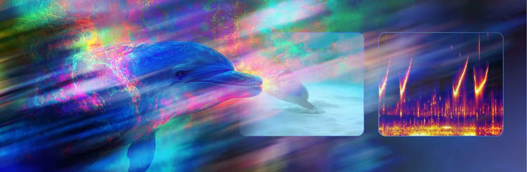 Google’s AI model helps understand dolphin sounds