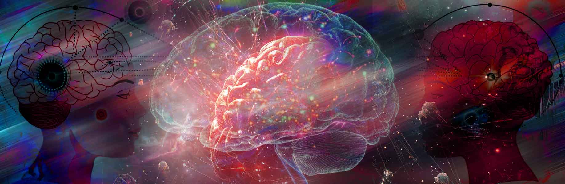 How the brain prioritizes memory