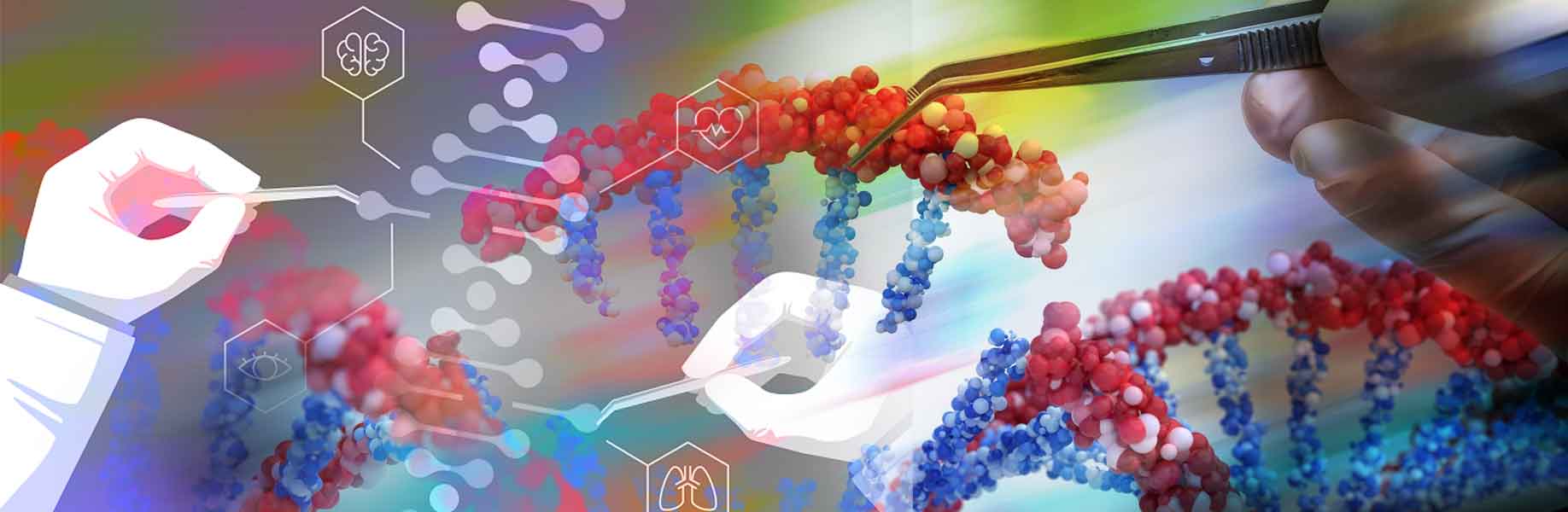 New genetic tool advances DNA editing