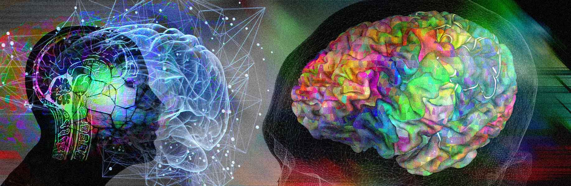 New method maps brain changes during learning
