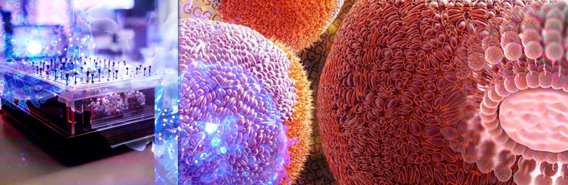 Tiny drug carriers fight cancer effectively
