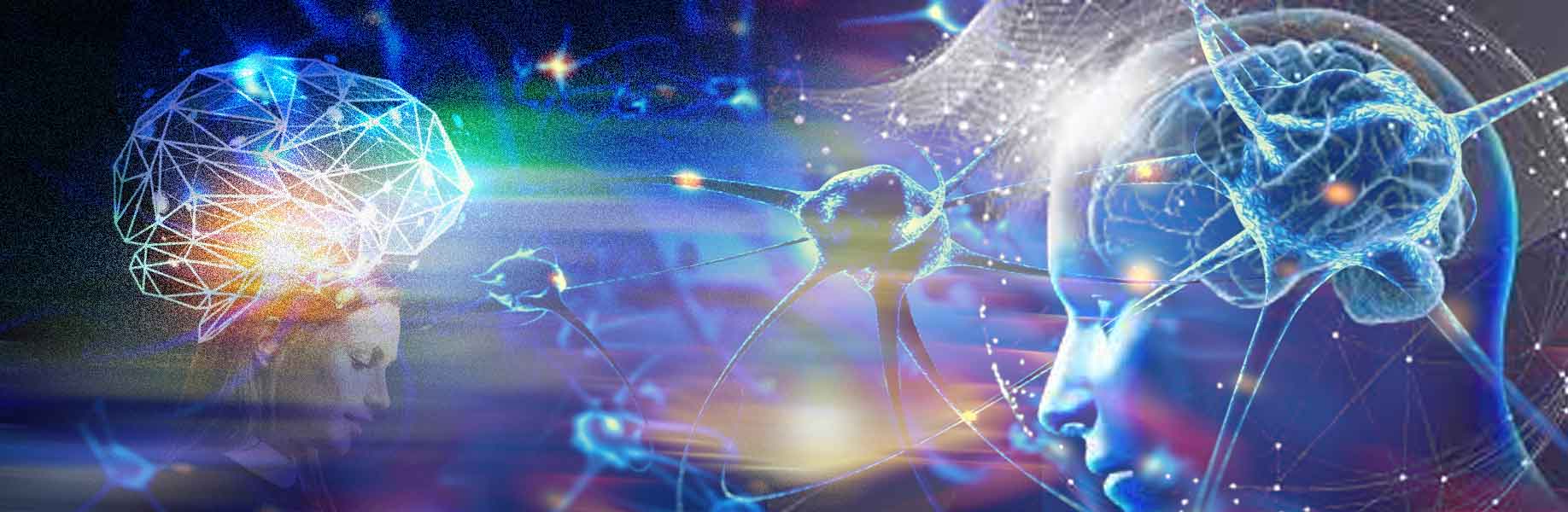 How the brain learns new things